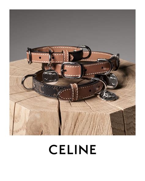 celine dog collar